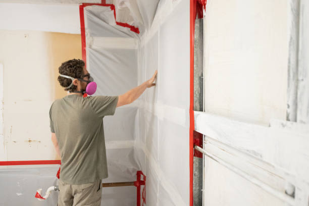 Best Environmental Consulting for Mold Prevention  in Alamosa, CO