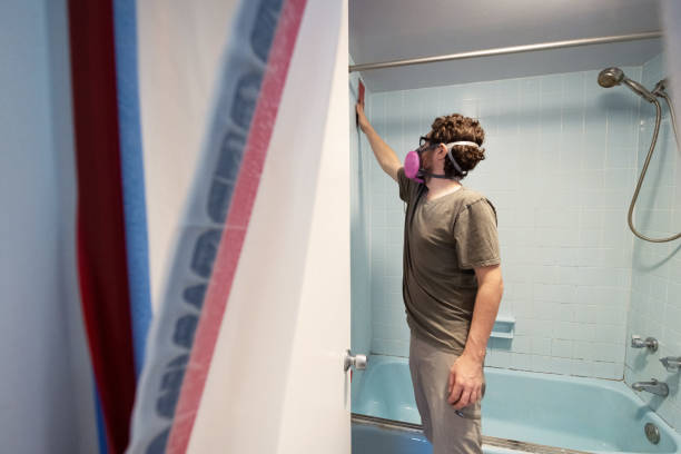 Best Mold Prevention Services  in Alamosa, CO