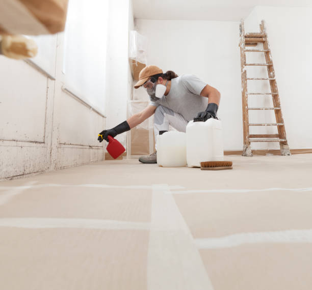 Mold Remediation for Rental Properties in Alamosa, CO